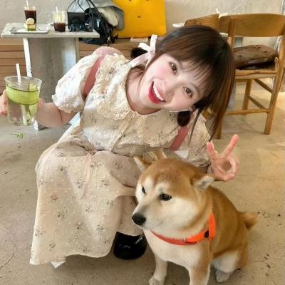 爱的世界国语